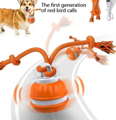 Interactive Pet Rolling Ball Toy USB Rechargeable My Store
