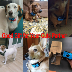 Ultrasonic Anti-Bark Dog Training Collar My Store