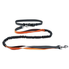 Dog Walking Belt with Detachable Shockproof Leash My Store