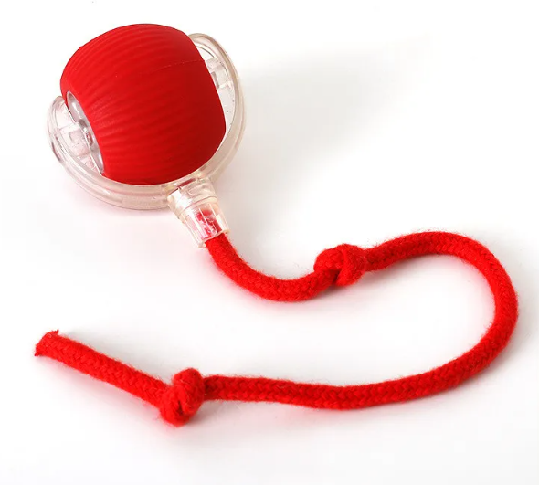 PurrPlay Self-Rolling Cat Toy Ball My Store