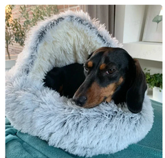 2-in1 Pet Bed Epictop store