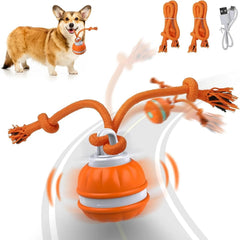 Interactive Pet Rolling Ball Toy USB Rechargeable My Store