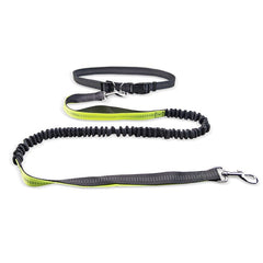 Dog Walking Belt with Detachable Shockproof Leash My Store
