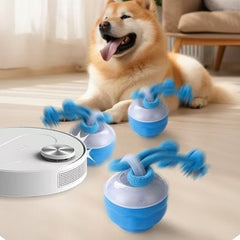 Interactive Pet Rolling Ball Toy USB Rechargeable My Store