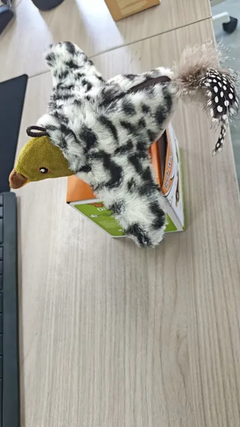 Plush Bird Pet Toy Epictop store