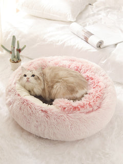 2-in1 Pet Bed Epictop store