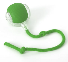 PurrPlay Self-Rolling Cat Toy Ball My Store