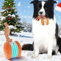 Interactive Pet Rolling Ball Toy USB Rechargeable My Store