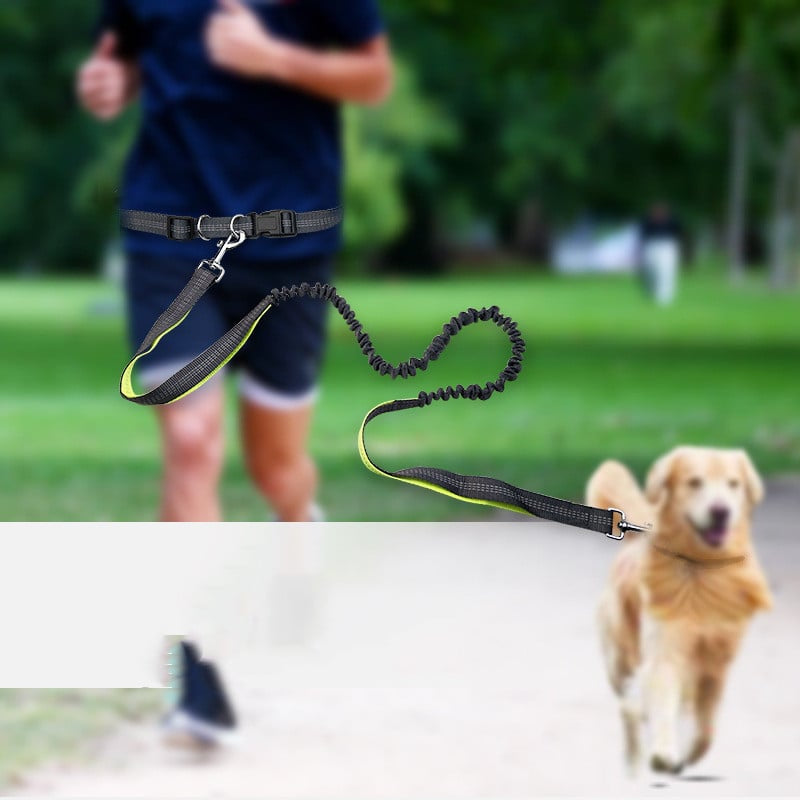 Dog Walking Belt with Detachable Shockproof Leash My Store