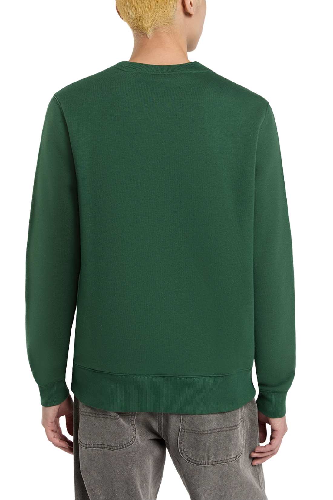 DICKIES - Men's winter crewneck Oakport sweatshirt  - Size XL Dickies