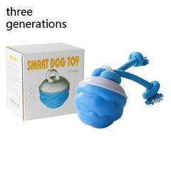 Interactive Pet Rolling Ball Toy USB Rechargeable My Store