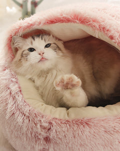 2-in1 Pet Bed Epictop store