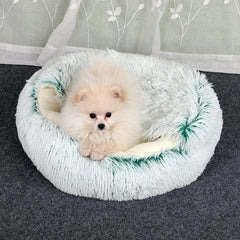 2-in1 Pet Bed Epictop store