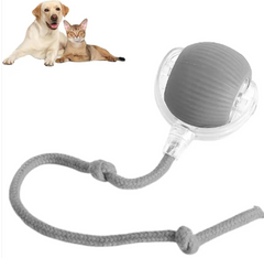 Smart Rolling Pet Ball Epictop store
