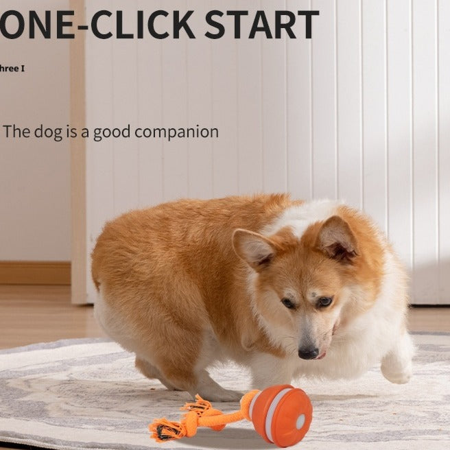 Interactive Pet Rolling Ball Toy USB Rechargeable My Store