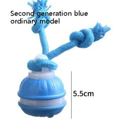 Interactive Pet Rolling Ball Toy USB Rechargeable My Store