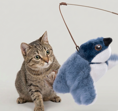 Flapping Bird Cat  Toy My Store